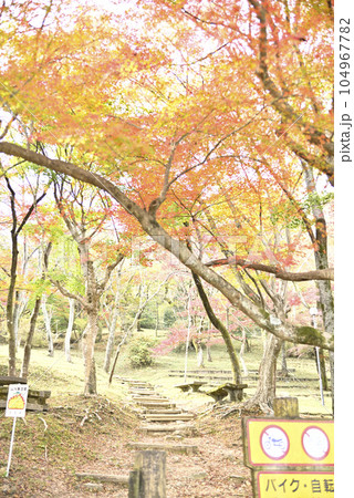 霞間ヶ渓の紅葉 104967782