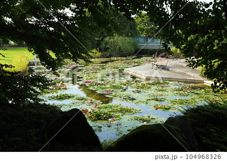 草津市立水生植物公園みずの森【スイレン池とベンチ】／ 滋賀県草津市 104968326