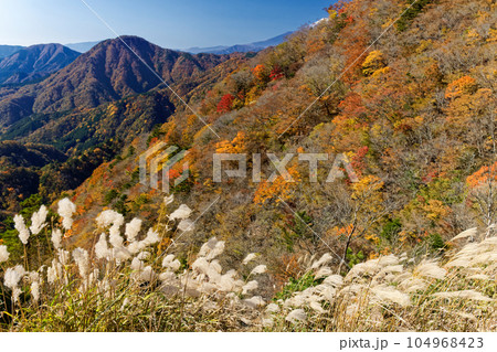 西丹沢・犬越路付近から見る紅葉の山並み 104968423