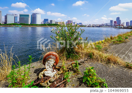 隅田川河口付近 水辺の町並み 104969055