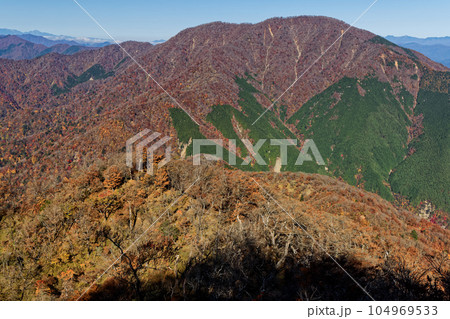 西丹沢・檜洞丸稜線から見る紅葉の大室山 104969533