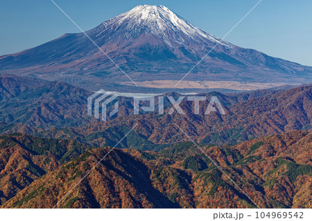丹沢山地・檜洞丸稜線から見る紅葉の山並みと富士山 104969542