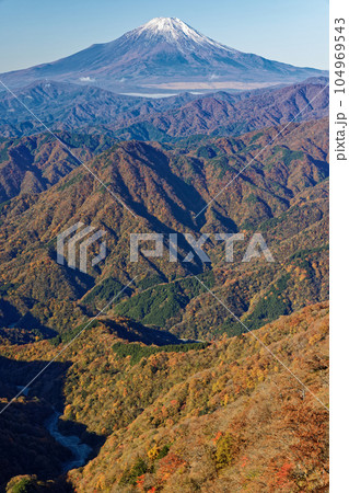 丹沢山地・檜洞丸稜線から見る紅葉の山並みと富士山 104969543