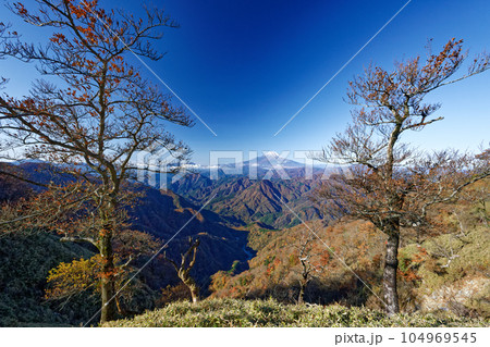 丹沢山地・檜洞丸稜線から見る紅葉の山並みと富士山 104969545