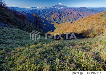 丹沢山地・檜洞丸稜線から見る紅葉の山並みと富士山 104969546