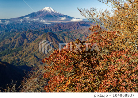 丹沢山地・檜洞丸稜線から見る紅葉の山並みと富士山 104969937