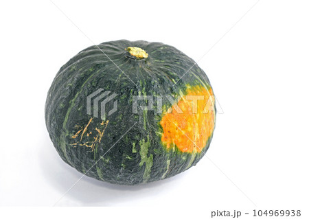 栗カボチャ 104969938