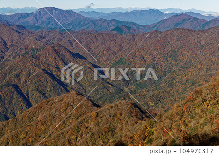 紅葉の丹沢山地・檜洞丸稜線から見る南アルプスの山並み 紅葉の丹沢山地・檜洞丸稜線から見る南アルプスの山並み 104970317