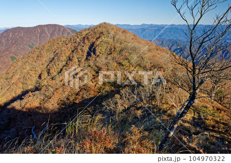 紅葉の西丹沢・檜洞丸から見る大室山への稜線 紅葉の西丹沢・檜洞丸から見る大室山への稜線 104970322