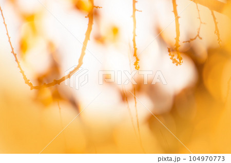 Abstract soft colored background. Minimal monochrome pastel colours trends. Abstract soft colored background. Minimal monochrome pastel colours trends. 104970773