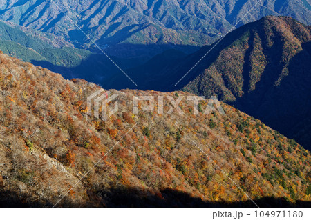 西丹沢・檜洞丸から見る紅葉の山肌 西丹沢・檜洞丸から見る紅葉の山肌 104971180