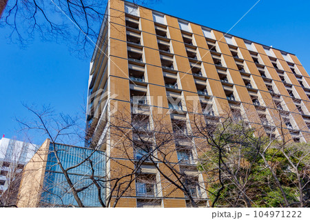 【東京の都市風景】東京大学（本郷）周辺の都市風景 104971222