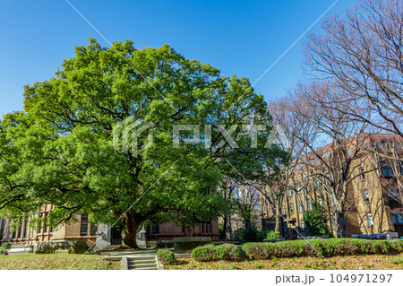 【東京の都市風景】東京大学（本郷）周辺の都市風景 104971297