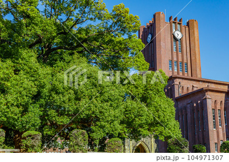【東京の都市風景】東京大学安田講堂 104971307
