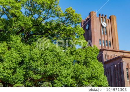 【東京の都市風景】東京大学安田講堂 104971308