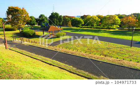都立舎人公園（東京都足立区）の「朝日の広場」から見下ろした舎人公園内の風景 104971733