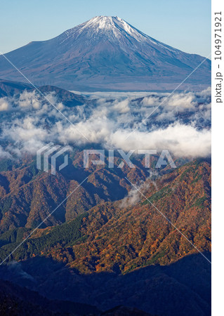 丹沢山地・檜洞丸稜線から見る紅葉の山並みと富士山 104971921