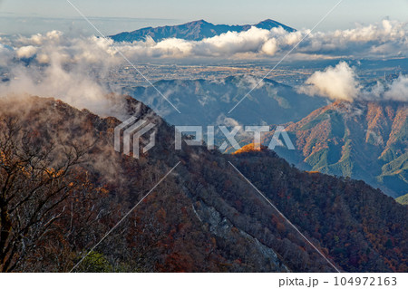 朝の丹沢山地・檜洞丸から見る愛鷹山 104972163