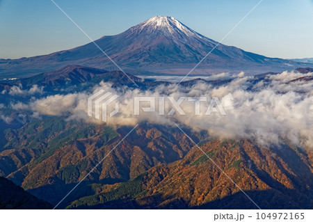 丹沢山地・檜洞丸稜線から見る紅葉の山並みと富士山 104972165