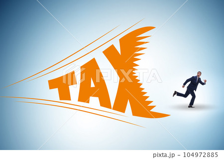 Concept of the tax burden Concept of the tax burden 104972885