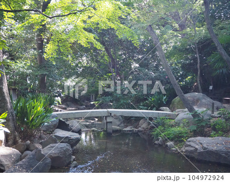 公園の中を流れる小川 104972924