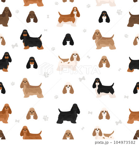 American cocker spaniel all colours clipart. Different coat colors set. American cocker spaniel all colours clipart. Different coat colors set. 104973582
