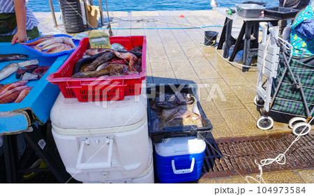 French fisherman selling fresh fish at Vieux Port in Marseille, France. 104973584