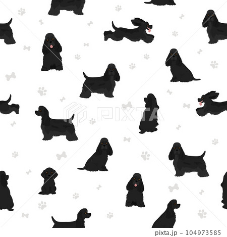 American cocker spaniel all colours clipart. Different coat colors set. 104973585