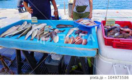 French fisherman selling fresh fish at Vieux Port in Marseille, France. 104973586