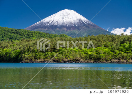 《山梨県》初夏の富士山・新緑の西湖 104973926