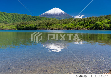 《山梨県》初夏の富士山・新緑の西湖 104973927