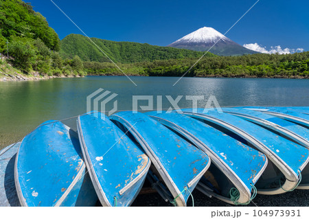 《山梨県》初夏の富士山・新緑の西湖 《山梨県》初夏の富士山・新緑の西湖 104973931