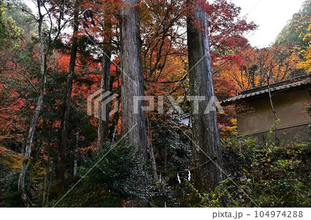秋の岩瀧寺 秋の岩瀧寺 104974288