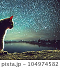 黒猫の星空 104974582