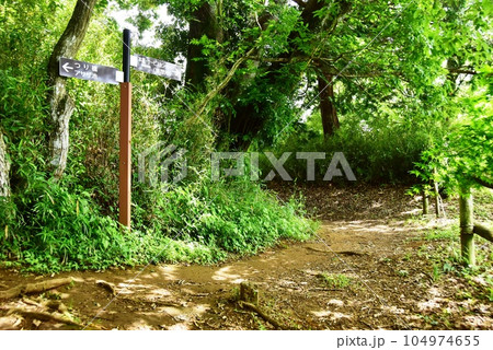 町田市 都立小山田緑地梅木窪分園の散策路と道しるべ 町田市 都立小山田緑地梅木窪分園の散策路と道しるべ 104974655