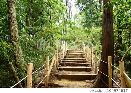 町田市 都立小山田緑地梅木窪分園の散策路 町田市 都立小山田緑地梅木窪分園の散策路 104974657