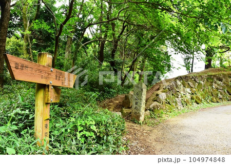 町田市　都立小山田緑地本園　小山田の道と道しるべ 104974848