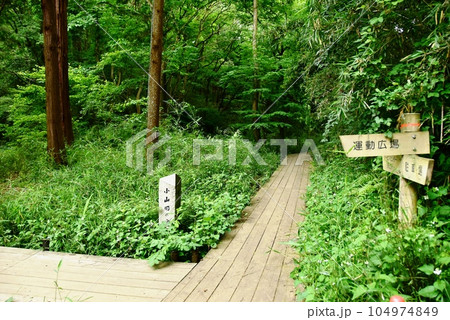 町田市 都立小山田緑地本園 小山田の谷の木道と道しるべ 町田市 都立小山田緑地本園 小山田の谷の木道と道しるべ 104974849