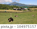 ニセコ ダチョウ牧場とニセコアンヌプリ 104975157