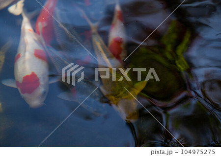 延光寺 延光寺 104975275