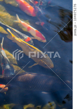 延光寺 延光寺 104975276