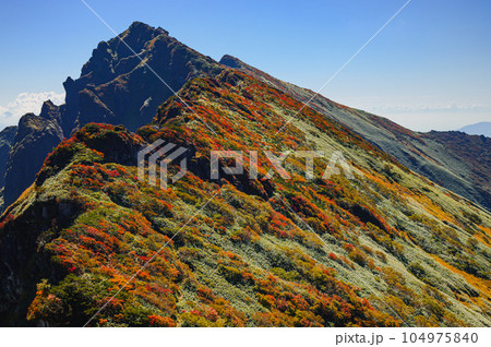 (谷川岳)紅葉見頃を迎えた谷川岳頂上付近 (谷川岳)紅葉見頃を迎えた谷川岳頂上付近 104975840