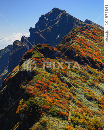 (谷川岳)紅葉見頃を迎えた谷川岳頂上付近 (谷川岳)紅葉見頃を迎えた谷川岳頂上付近 104975841