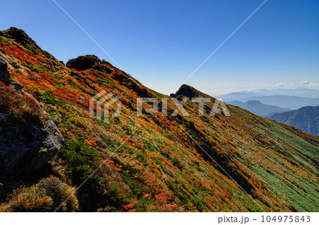 （谷川岳）紅葉見頃を迎えた谷川岳頂上付近 104975843