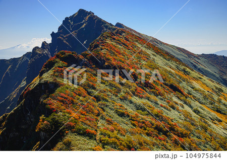 （谷川岳）紅葉見頃を迎えた谷川岳頂上付近 104975844