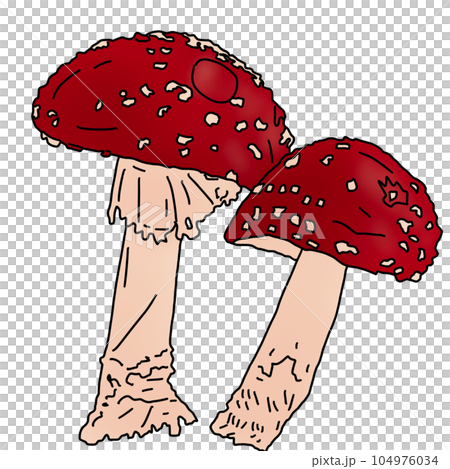 the view of mushroom 104976034