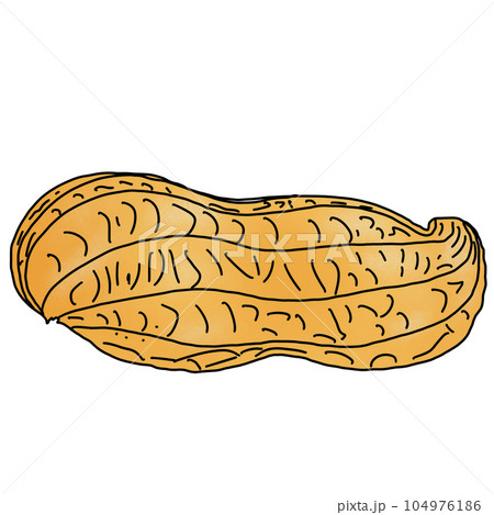 peanut isolated on white background peanut isolated on white background 104976186