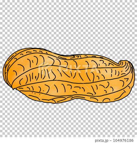 peanut isolated on white background peanut isolated on white background 104976186