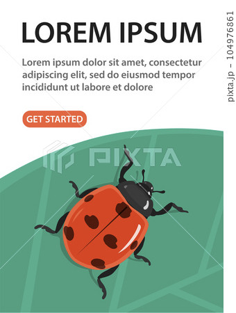 Red beetle ladybug on a green leaf 104976861
