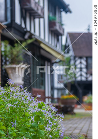 観光地の風景 104976868